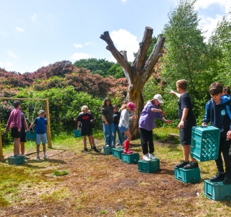 Team Building - description image